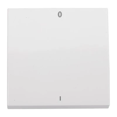 Dual Circuit 10A bryter